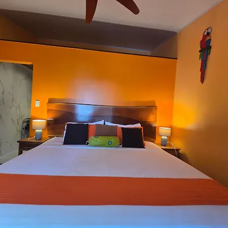 Hotel La Palapa