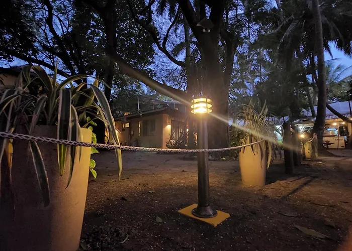 Hotel La Palapa 3*