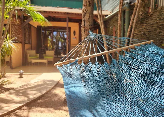 La Palapa Hotel