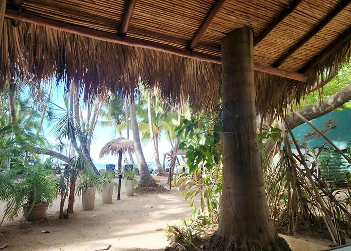 Hotel La Palapa Tamarindo
