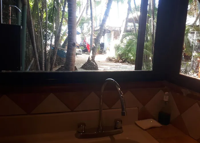 La Palapa