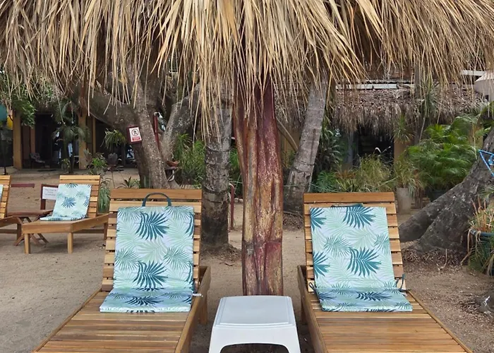 Hotel La Palapa 3*