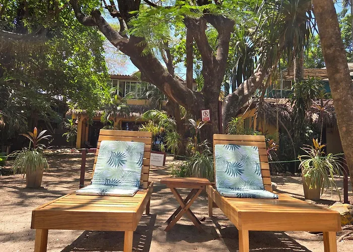 La Palapa Hotel