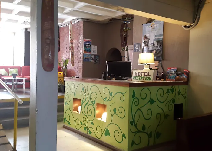 Hotel La Palapa
