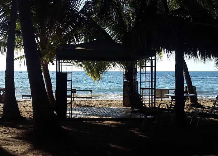 Hotel La Palapa Tamarindo