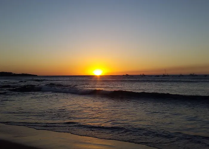 La Palapa