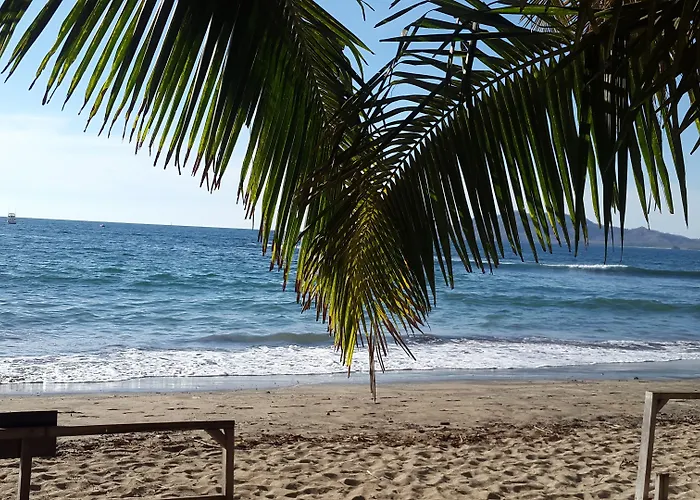 La Palapa Hotel