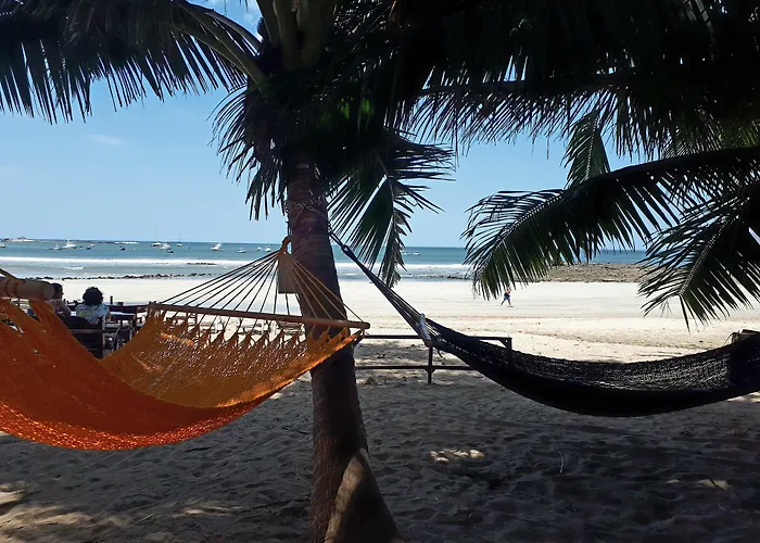 Hotel La Palapa Tamarindo