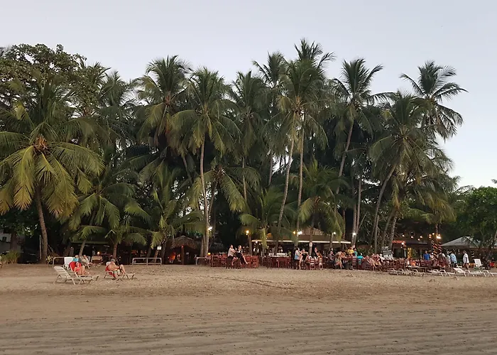 La Palapa Hotel Tamarindo