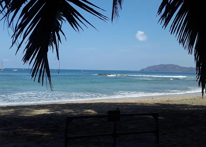 La Palapa 3*