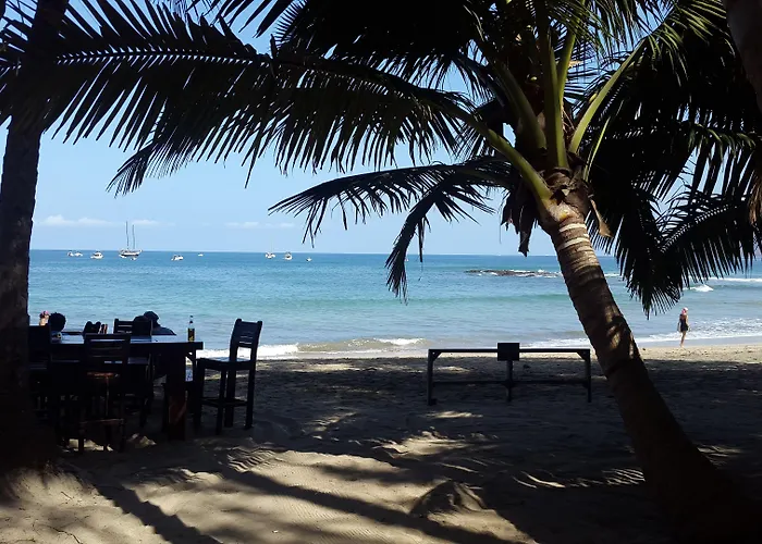 Hotel La Palapa 3*