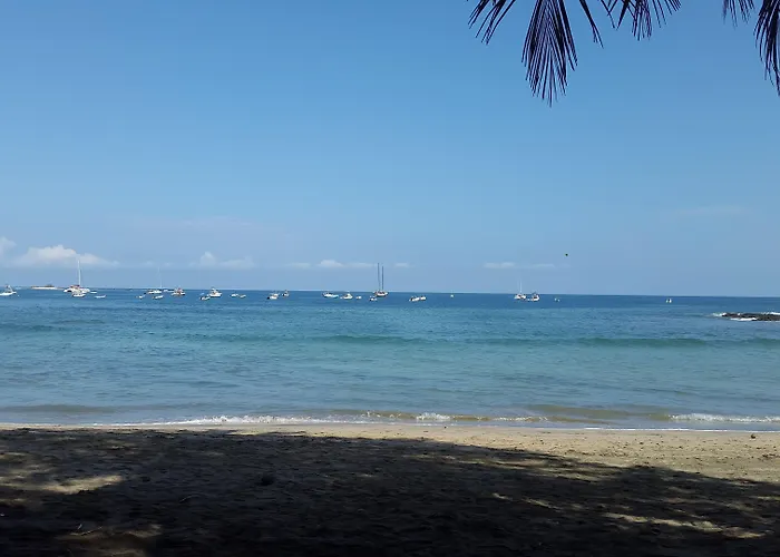 Hotel La Palapa Tamarindo