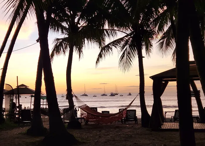 La Palapa