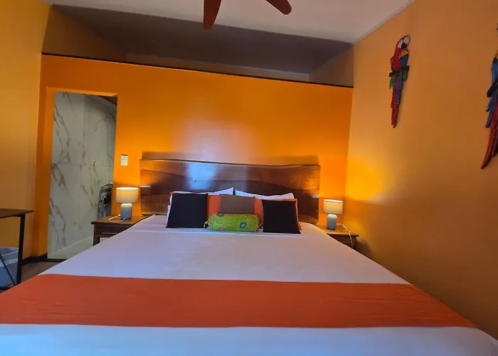 Hotel La Palapa 3*