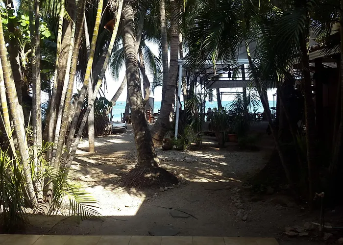 La Palapa Hotel