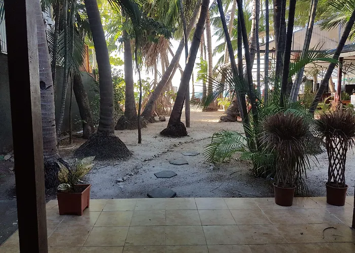 La Palapa Hotel