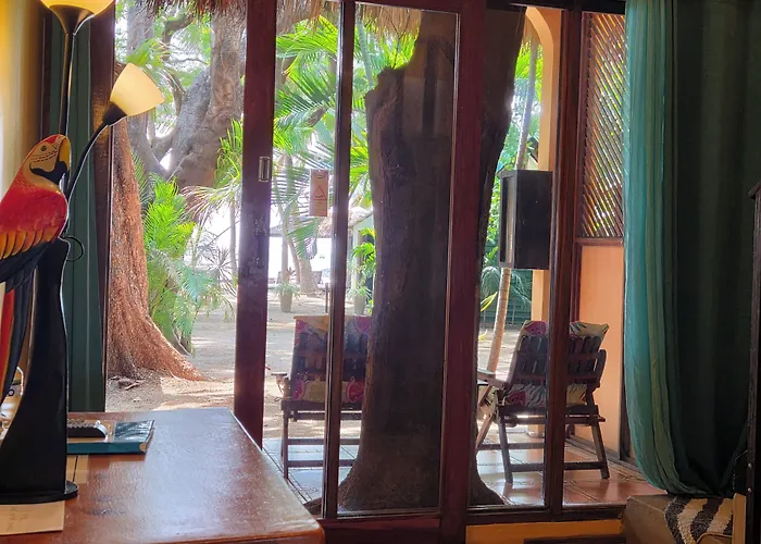 La Palapa