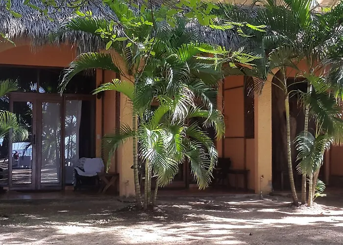 La Palapa 3*